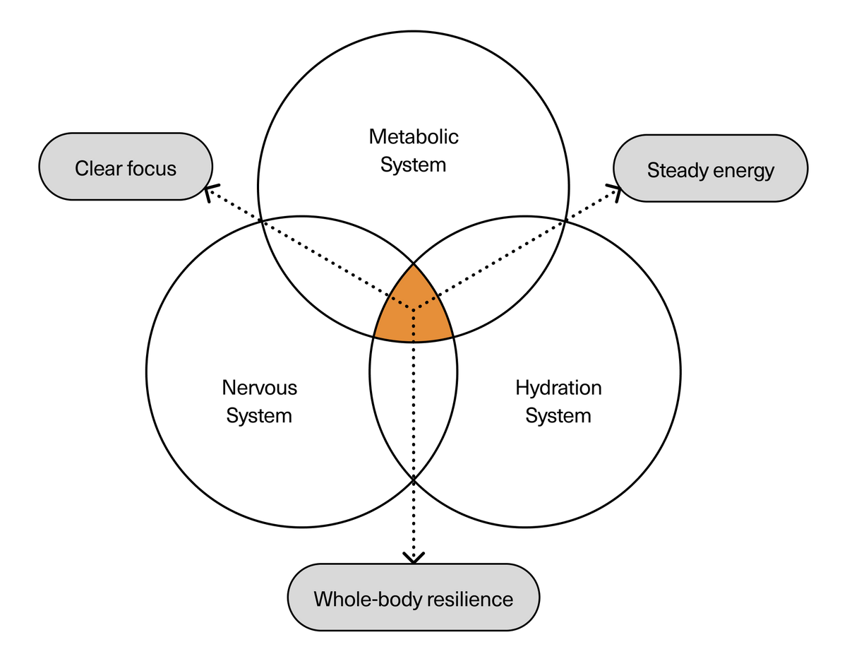 AlignmentFramework_v04_20260213