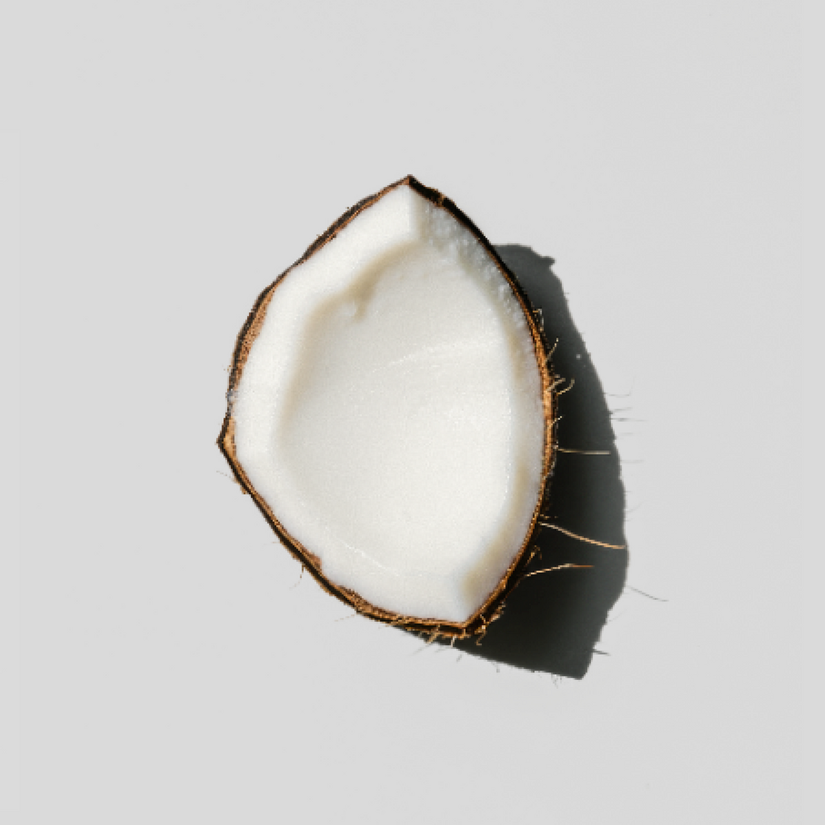 Half-cut coconut on a light gray background