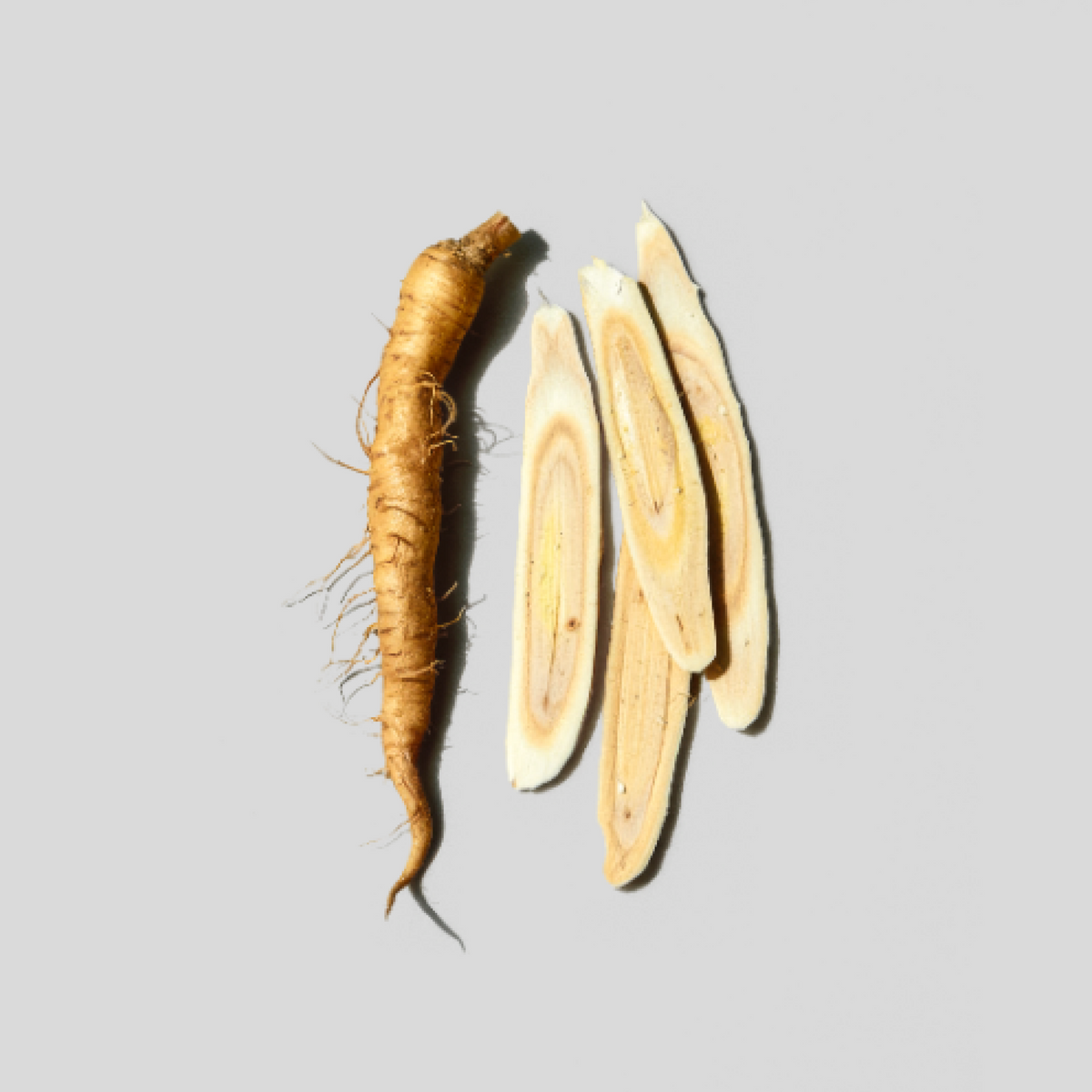 Ginseng root and sliced pieces on a gray background